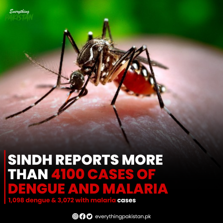 Sindh Reports More than 4100 Cases of Dengue and Malaria