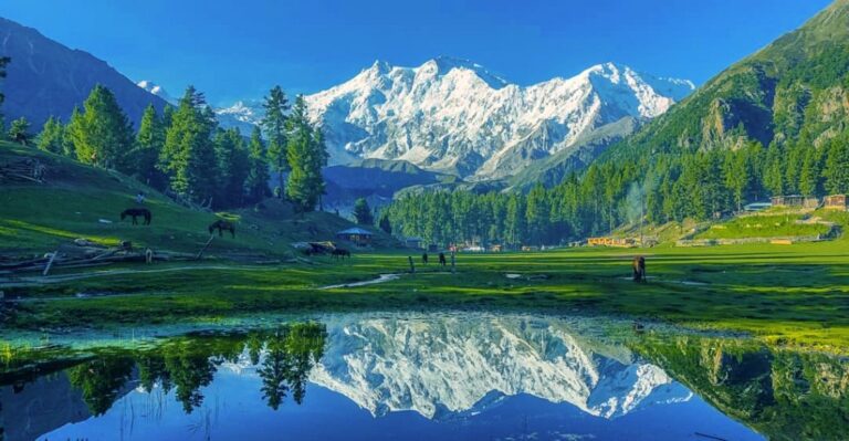 Fairy Meadows: A Land of Fairies