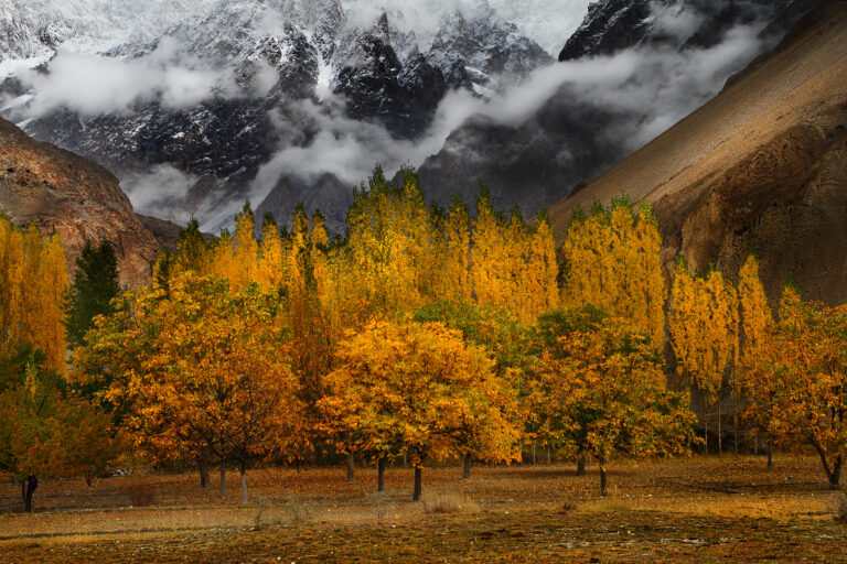 Gulmit & Passu – The Perfect Fall Tour