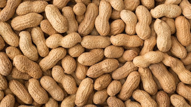 Armed Robbers Steal Peanuts Worth Rs. 4 million