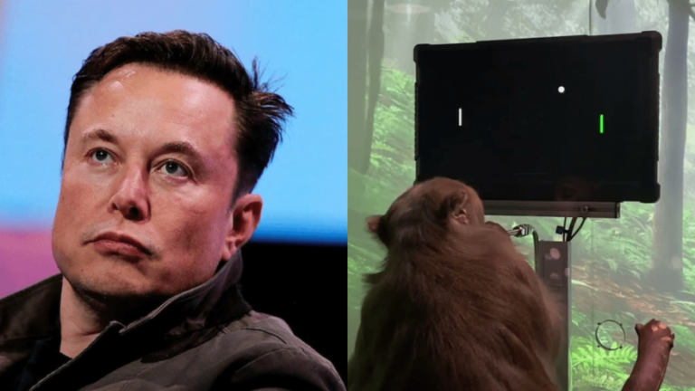 Elon Musk’s Brain Implant Testing Trials Killed 1,500 Animals