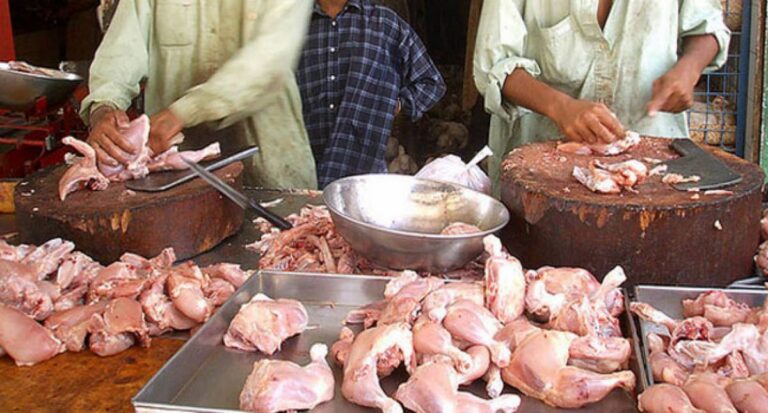 Price of Chicken Will Soon Surpass All Other Meat Prices in Pakistan