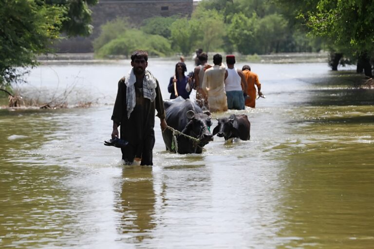 Climate Change Will Lead To More Floods And Extreme Weather In Pakistan