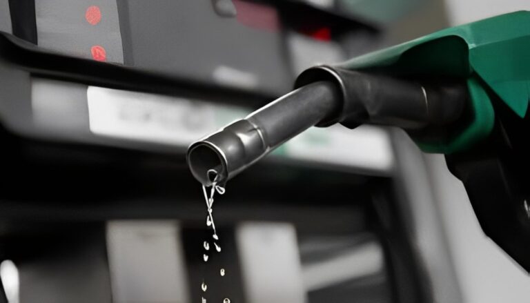 The Government Has Declared A Minor Reduction In The Prices Of Petrol And Diesel