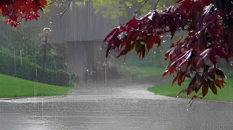 The Weather Department Has Issued Predictions Regarding This Year’s Monsoon Rains